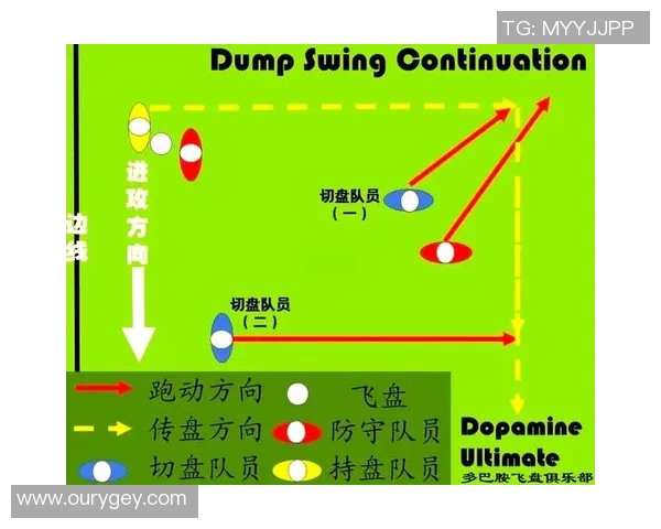 武汉飞盘队战术表现深度分析与数据解读探讨 武汉飞盘队战术表现深度分析与数据解读探讨