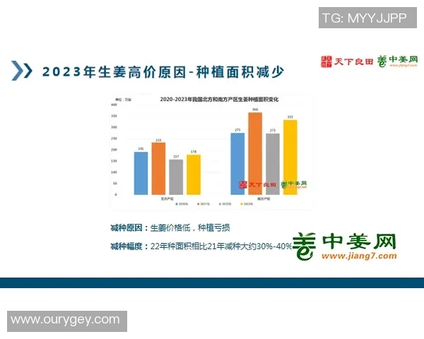 赛后复盘WE与JDG对决状态分析与未来展望