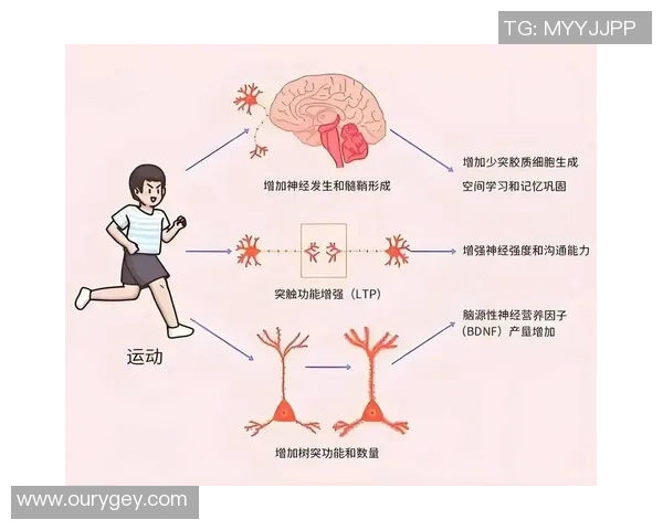 运动科学视角下的身体功能优化与运动表现提升策略研究 运动科学视角下的身体功能优化与运动表现提升策略研究