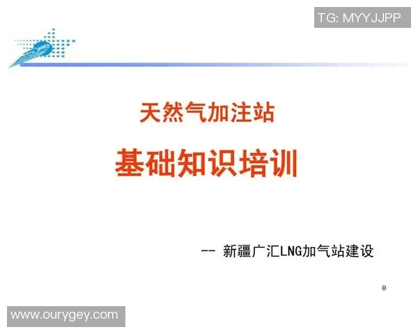 专业分析LNG市场的控制策略与应对方法探讨 专业分析LNG市场的控制策略与应对方法探讨